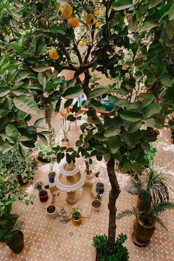 Riad Maison 24 Marrakesh Exterior foto